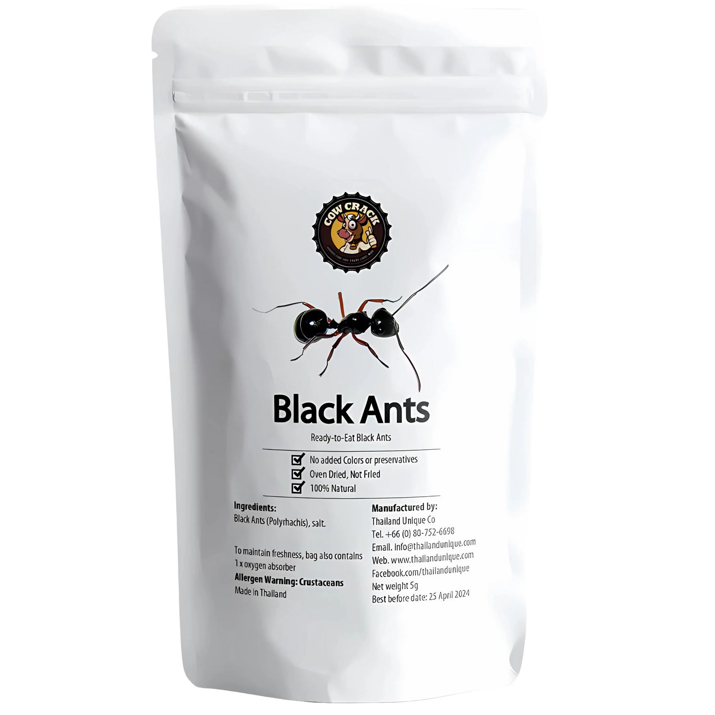 Edible Insects-1 pcs
