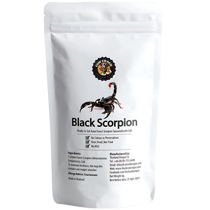 Edible Insects-1 pcs